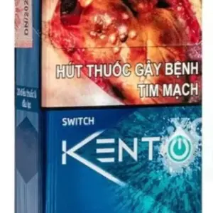 Vietnamese Kent Switch